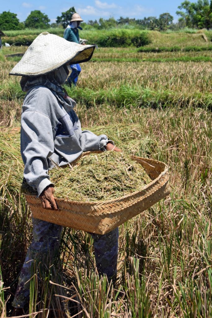 microfinance indonesia