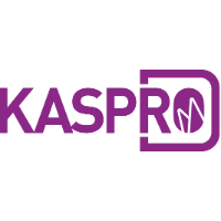 Fintech Startups in Indonesia - Payment - KasPro
