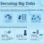 Securing big data