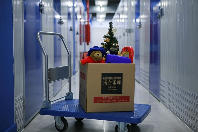 Storage Solutions