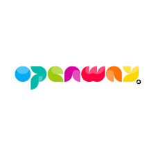 OpenWay Group