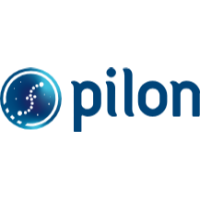 Pilon