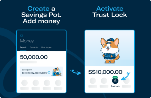Trust Lock scams